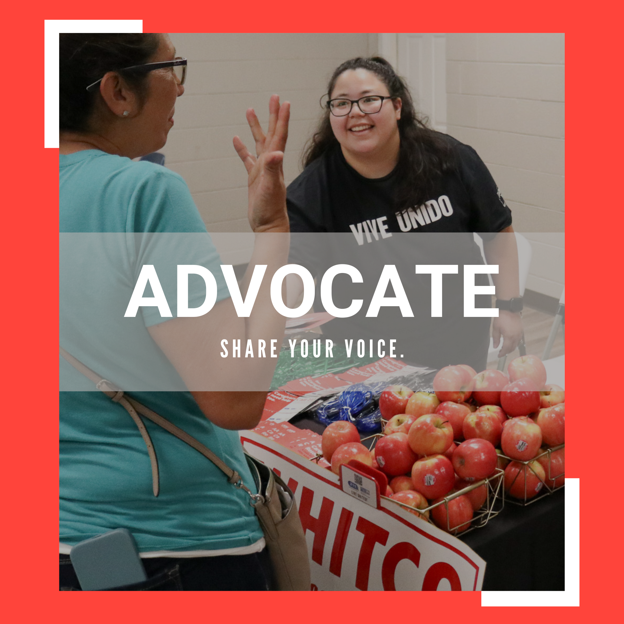 advocate icon